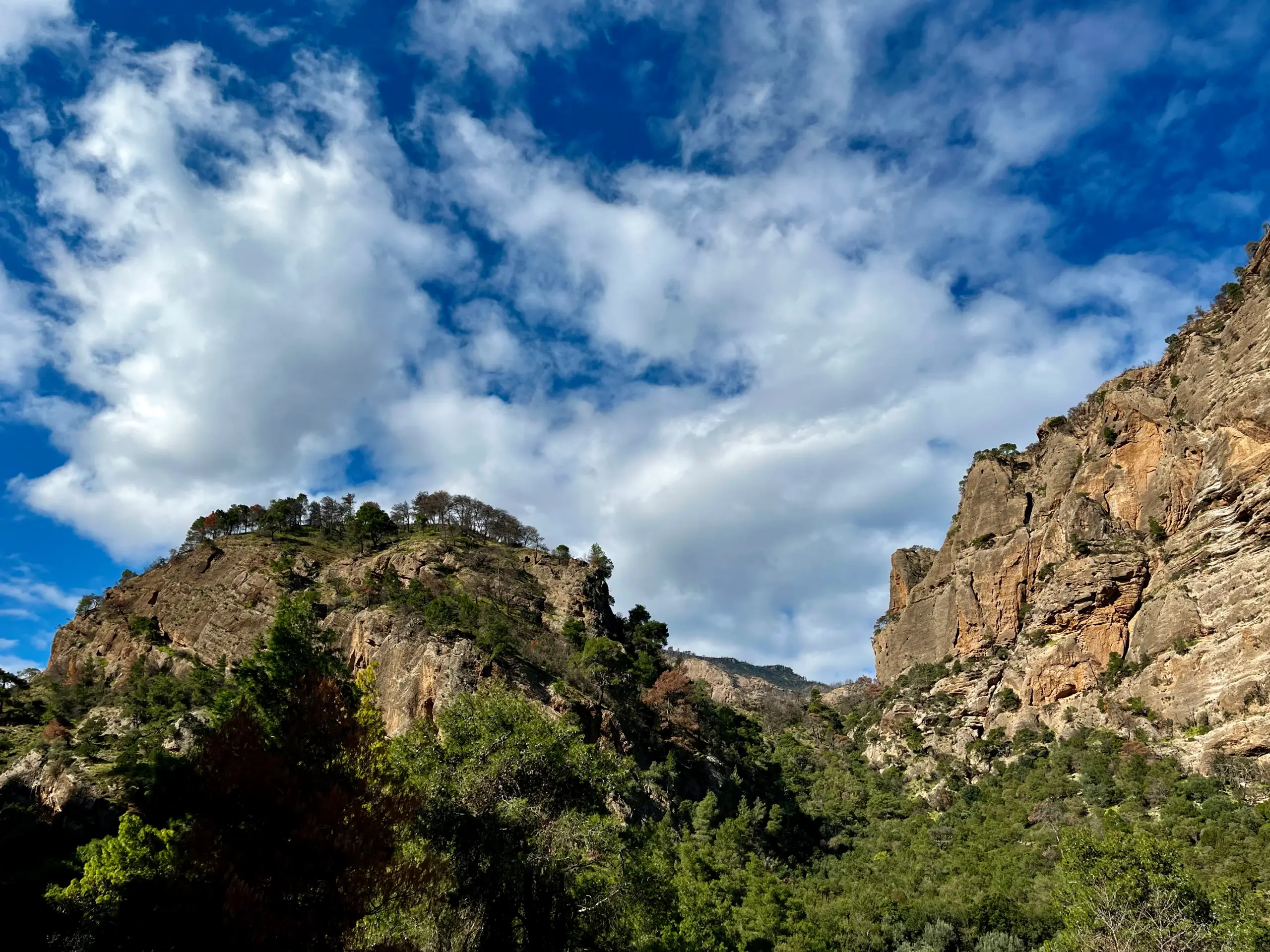 Topographic style visual of the Vouraikos landscape