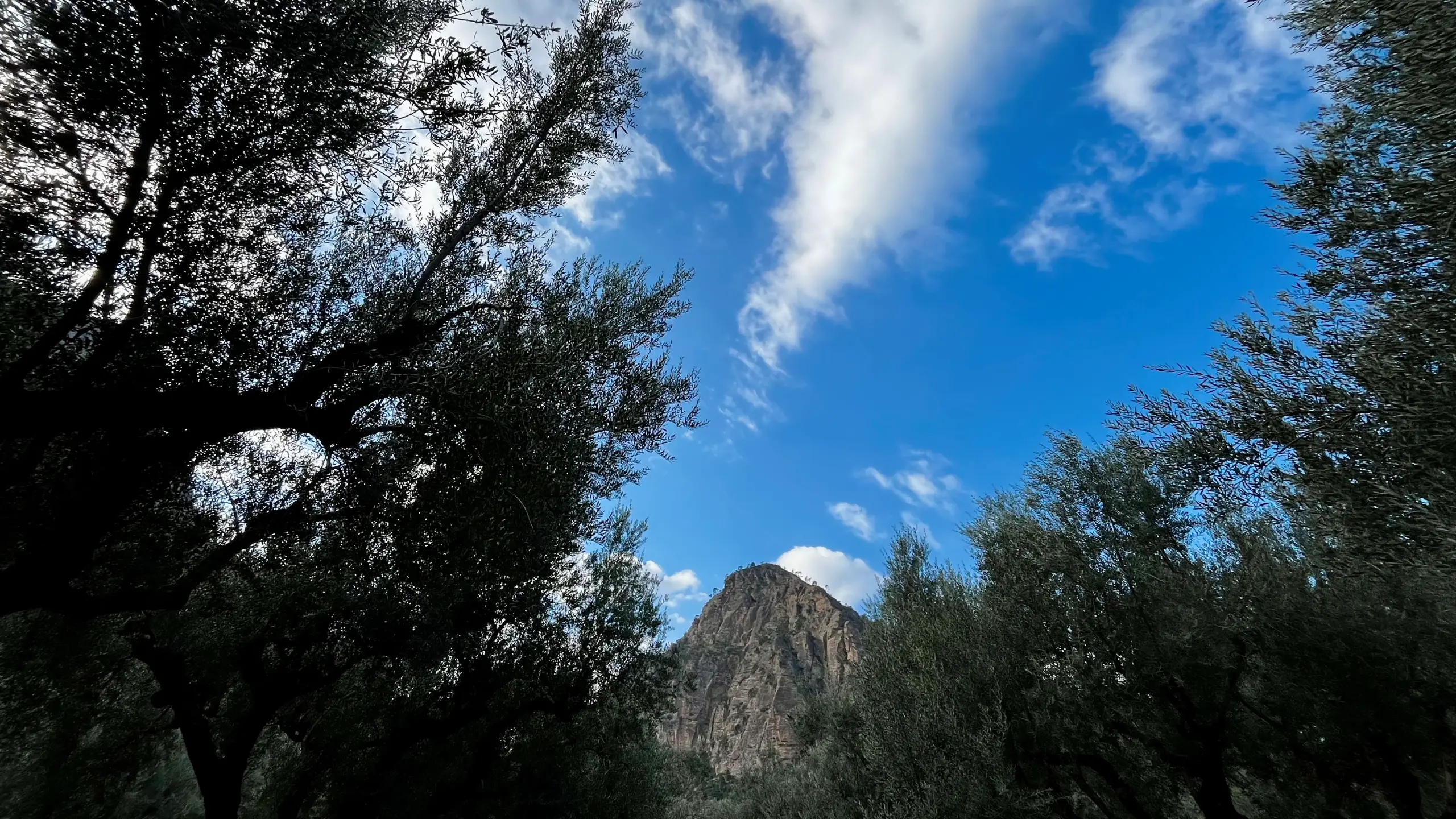 Οδοντωτός και βράχια του Βουραϊκού | Odontotos and Vouraikos rock walls