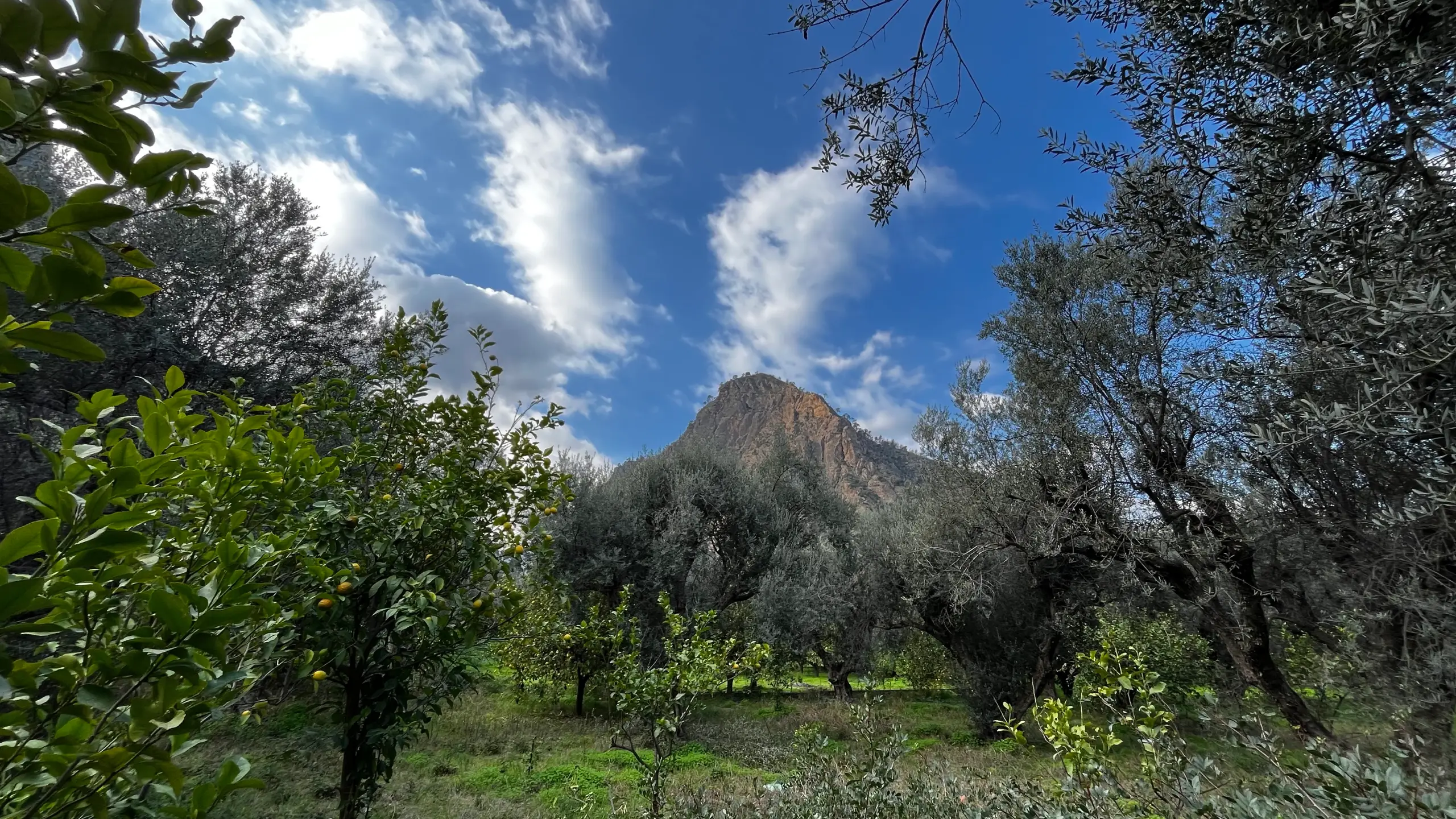 Πεζοπορική διαδρομή κοντά στο ποτάμι | Riverside hiking trail inside the gorge