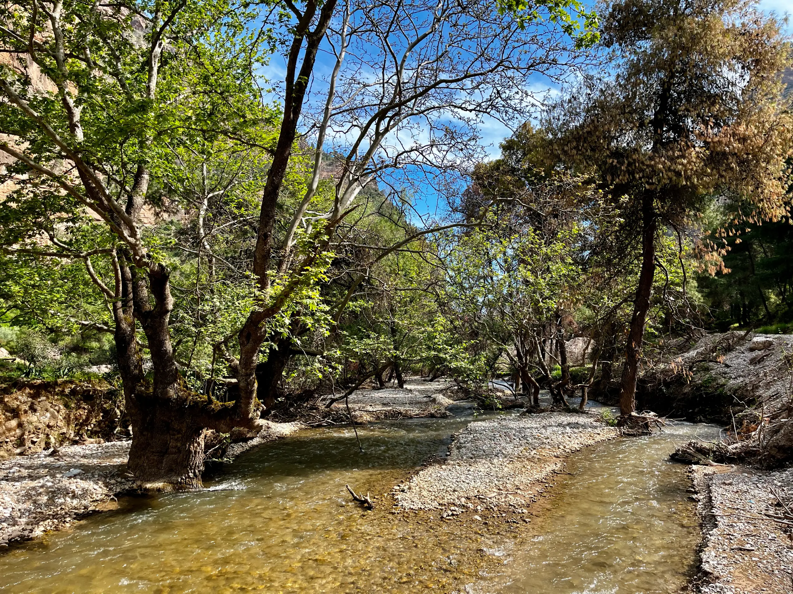 Γεωλογικές υφές στο φαράγγι | Geological textures inside the gorge